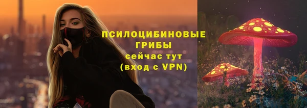 СК Алексеевка