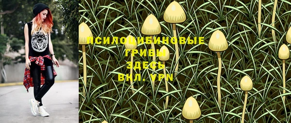 СК Алексеевка