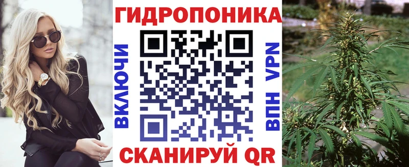 Бошки Шишки White Widow  Сураж 